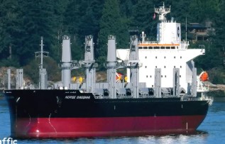 NORSE INNOSHIMA
