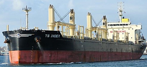 TS INDEX