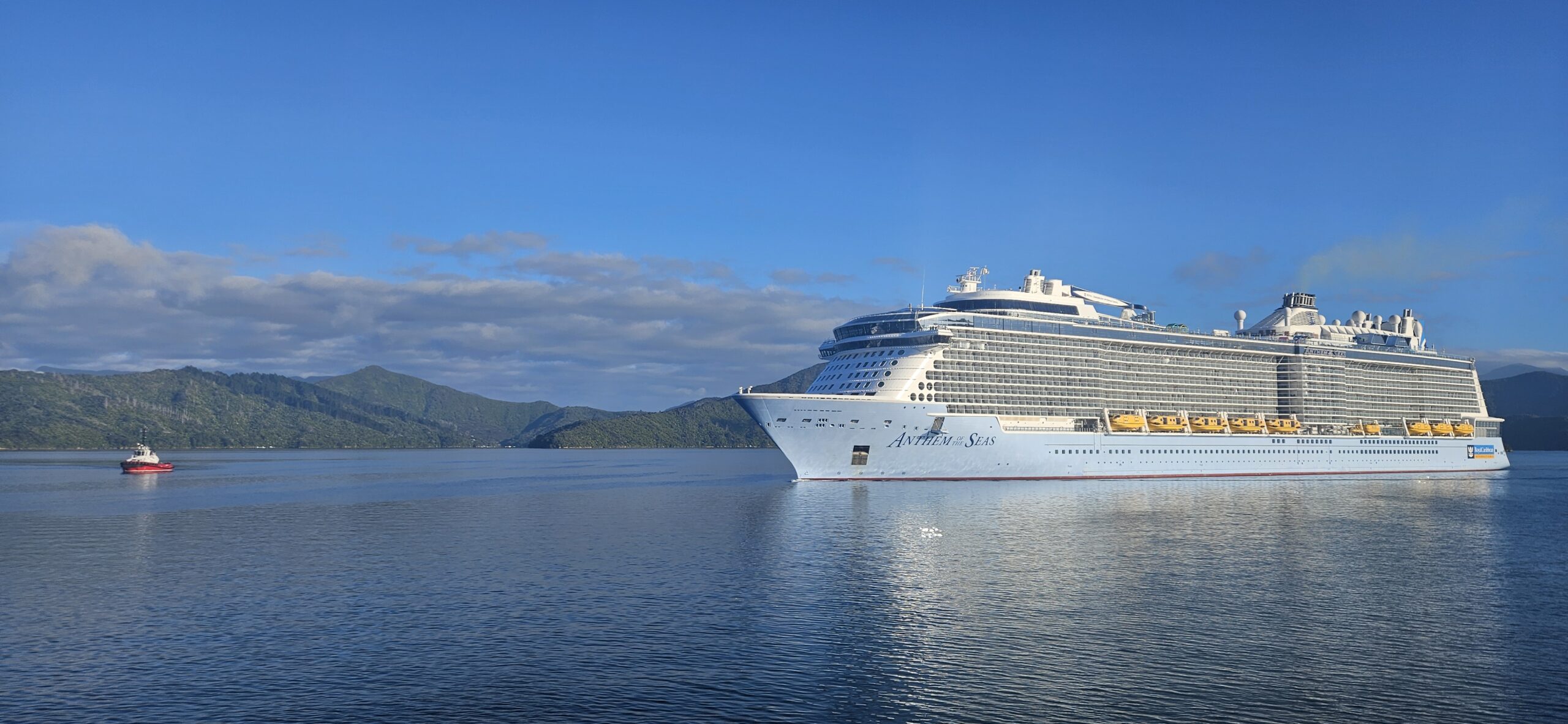 Media Release : January Marks Mid-Season Milestone for Cruise in Marlborough