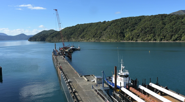 Waitohi Ferry Redevelopment Project Update – Week beginning 24 August
